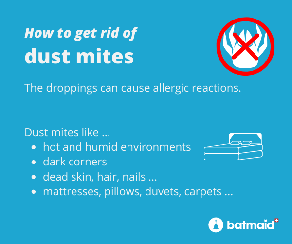 dust-mites-removal