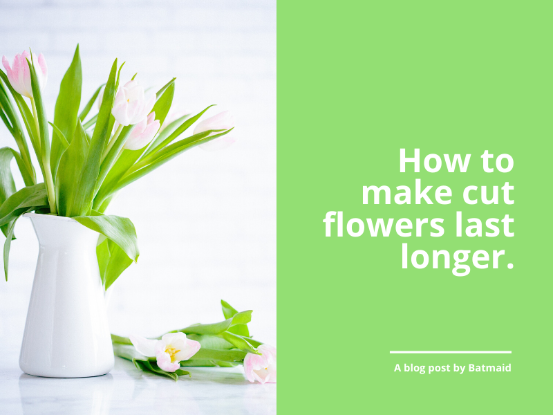 How to make cut flowers last longer naturally blog
