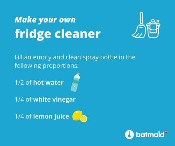 Fridge and freezer cleaner. Clean fridge. Freezer cleaning - Conservatis