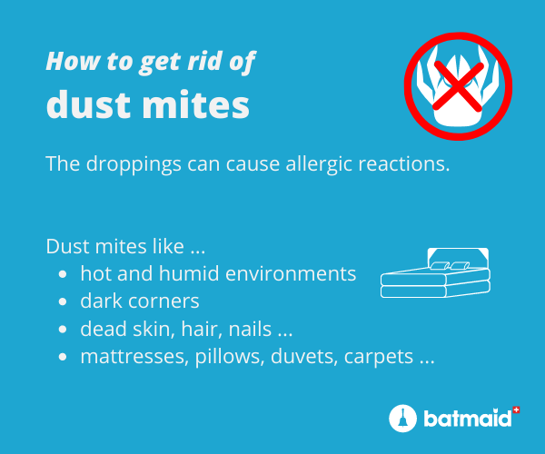 How to get rid of dust mites blog