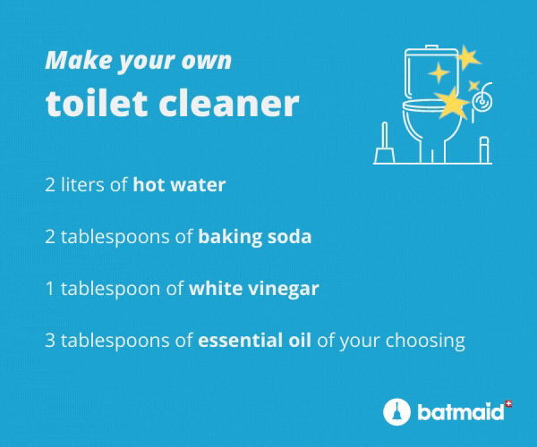batmaid-toilet-cleaner