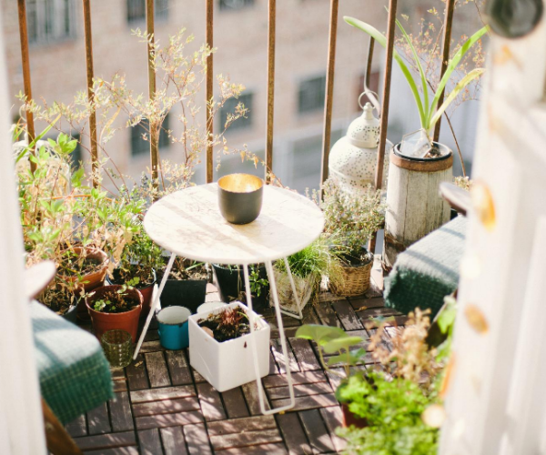 Comment retirer la mousse verte sur son balcon ou sa terrasse ? L'astuce  toute simple avec 2 produits